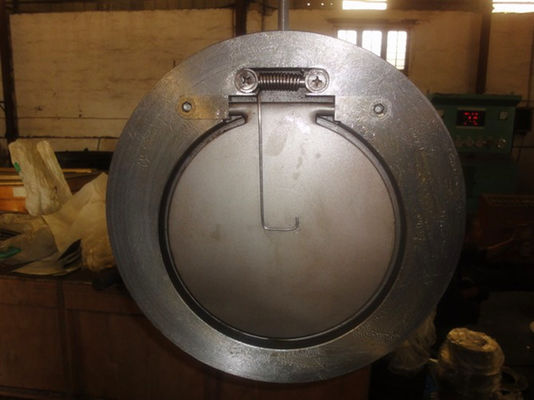 Шарнирный валик Монел КФ3 КФ8 одиночного задерживающего клапана вафли плиты объединенный для нечистот воды