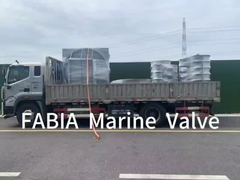 FABIA Морской клапан