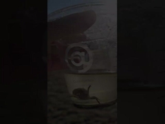 50 мм 400 мм 300 мм Фланцевый вентиляционный клапан из углеродистой стали