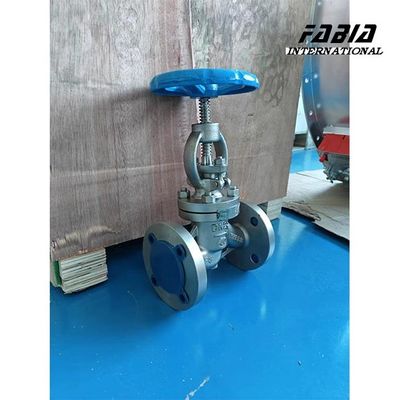 Cast Iron Globe Control Valve Compact Design For Metallurgy And Pulp And Paper Industry